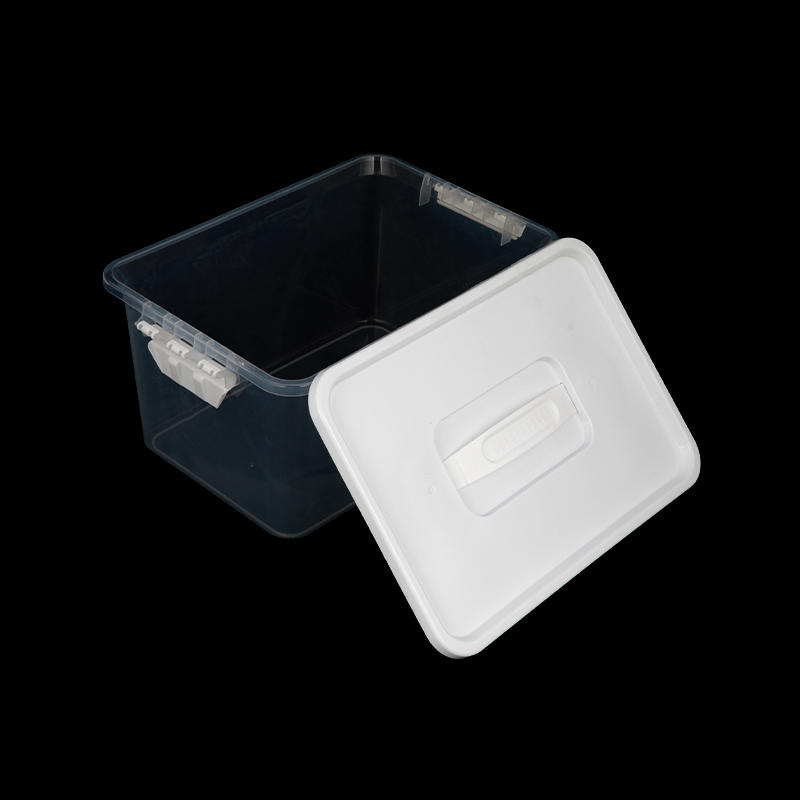 Stackable clear plastic storage boxes with handles and lids