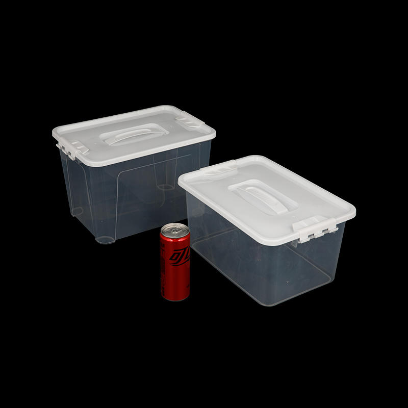Stackable clear plastic storage boxes with handles and lids