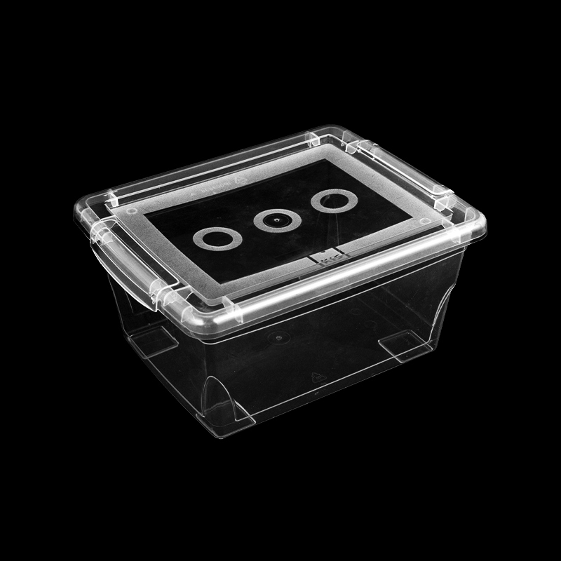 Fully transparent stackable boxes with lid storage plastic organizer for organizing
