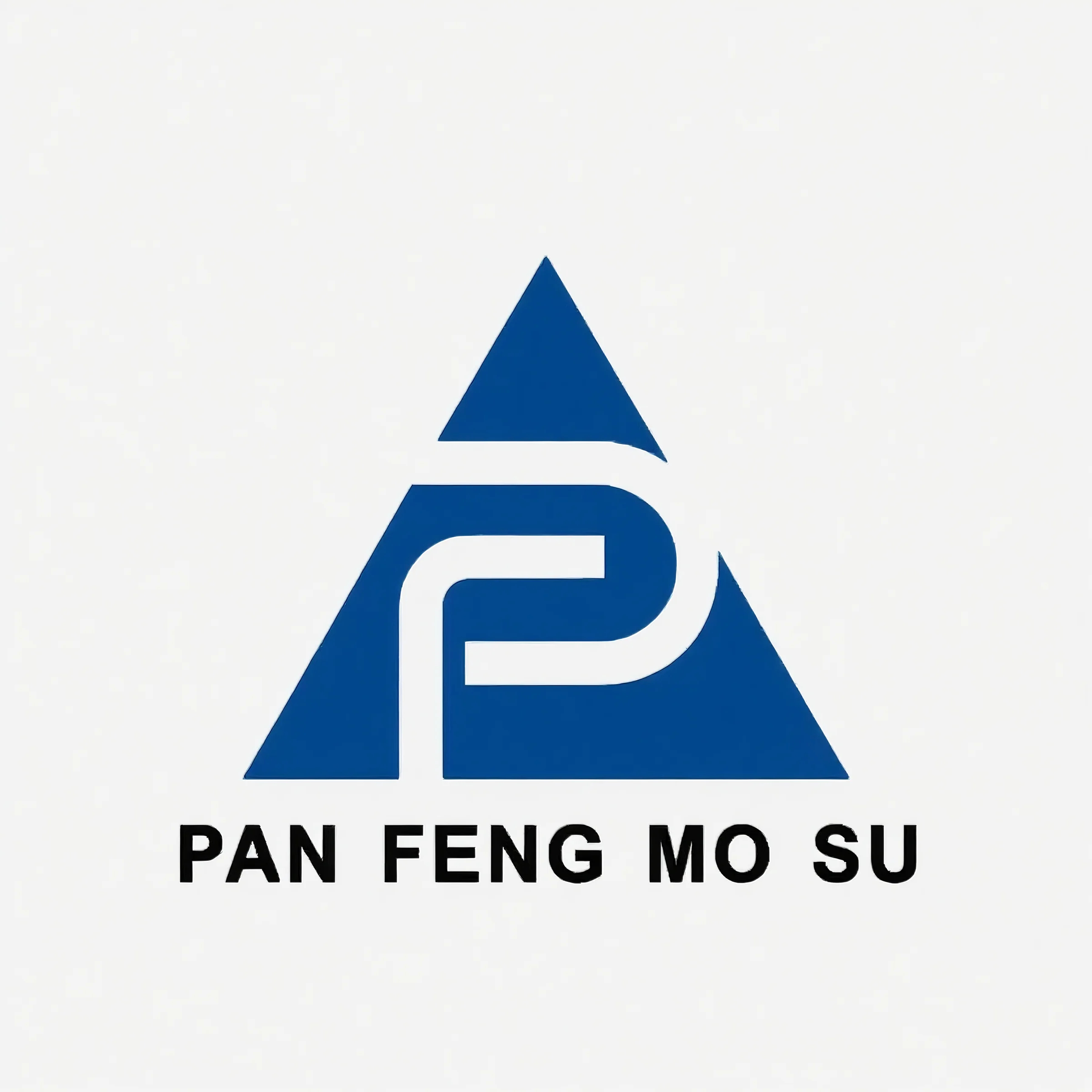 NINGBO PANFENG MOULD PLASTIC CO. LTD
