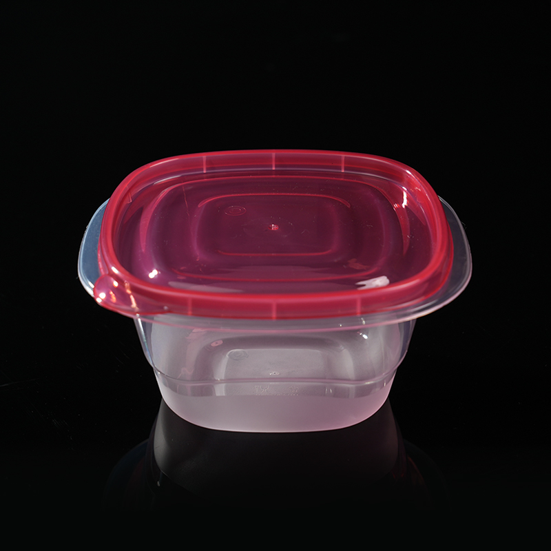 PFB013 Food and produce storage container