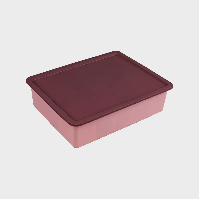 Home Dormitory Underwear Socks Plastic Storage Box With Lid